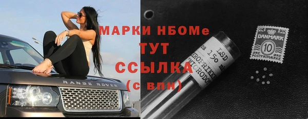 сатива Богородицк