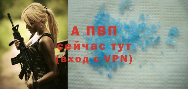 эйфоретик Богданович