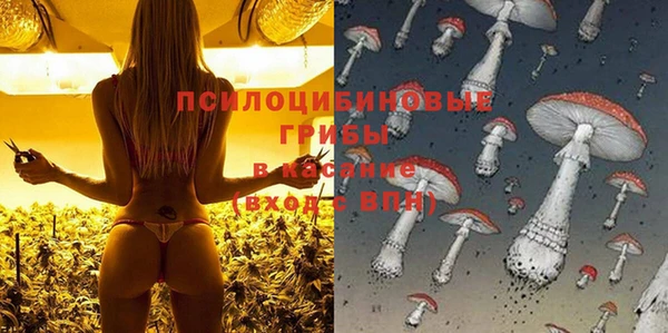 ешки Богородск