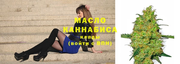 индика Инсар