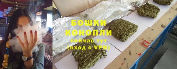 эйфоретик Богданович