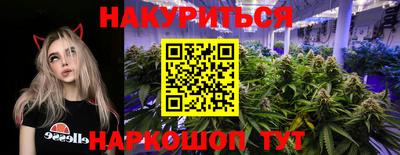 твердый Бийск