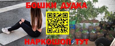 прущие грибы Моздок