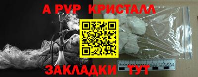 твердый Бийск