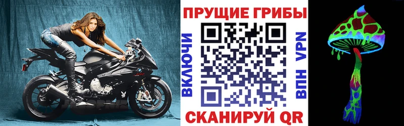 Галлюциногенные грибы мухоморы ссылка на мегу ссылки Бугульма сколько стоит