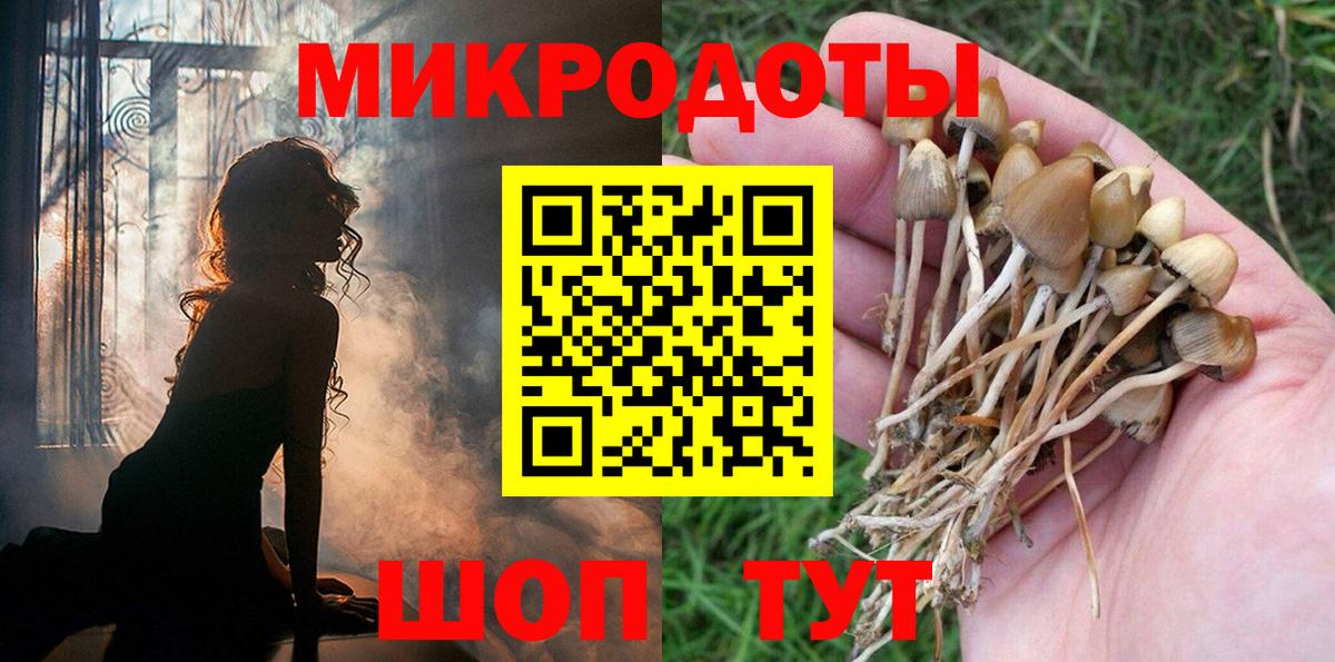 Псилоцибиновые грибы Magic Shrooms Бугульма