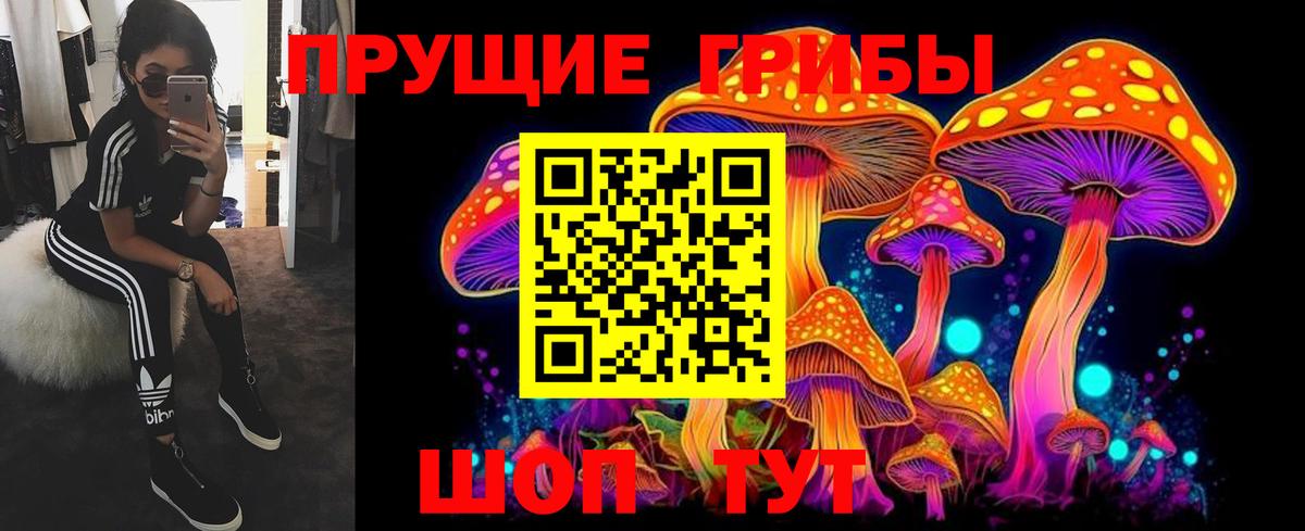 Бугульма  Галлюциногенные грибы MAGIC MUSHROOMS  Вход с VPN  Псилоцибиновые грибы Magic Shrooms 