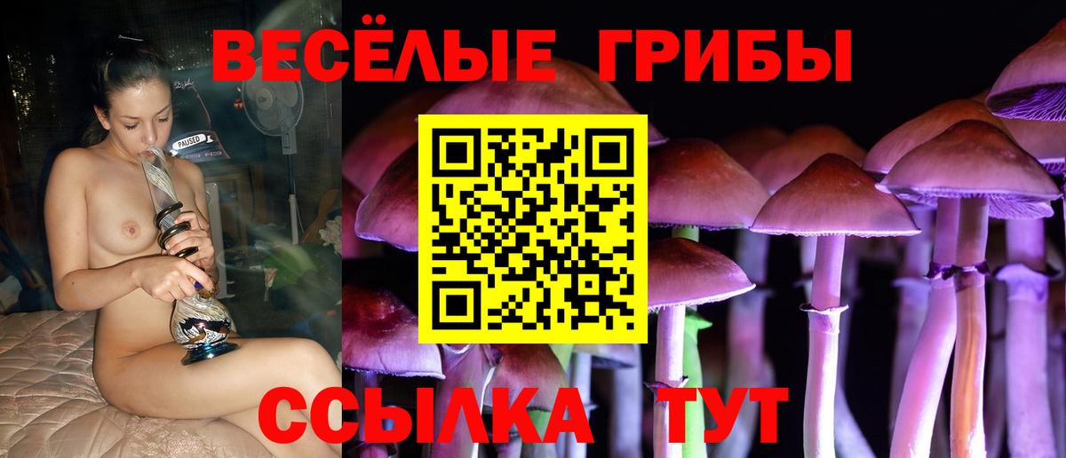 Галлюциногенные грибы мухоморы  Вход с VPN  где купить наркотик  Бугульма 